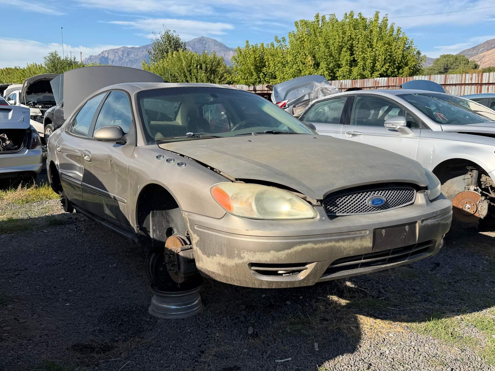 2007 Taurus