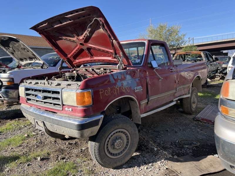 1989 F-250